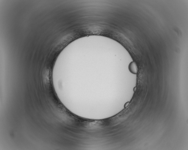 X0000110960122200907171657