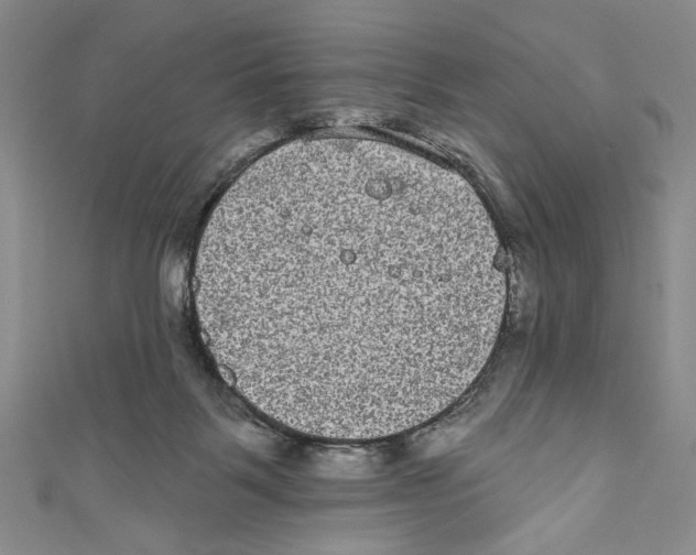 X0000110960123200907171657