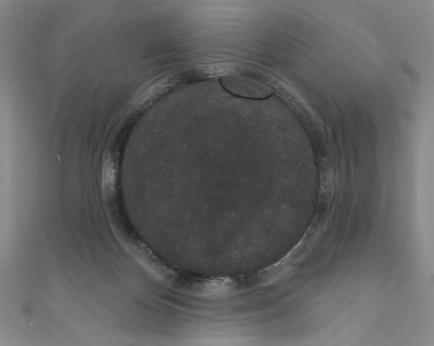 X0000110960124200907171657