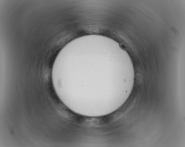 X0000110960125200907171657