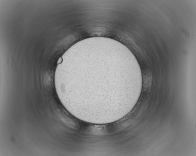 X0000110960126200907171657