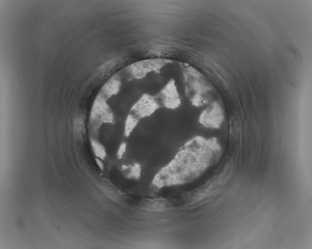 X0000110960127200907171657