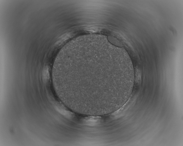 X0000110960128200907171657