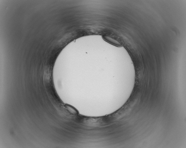 X0000110960129200907171657
