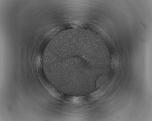 X0000110960130200907171657