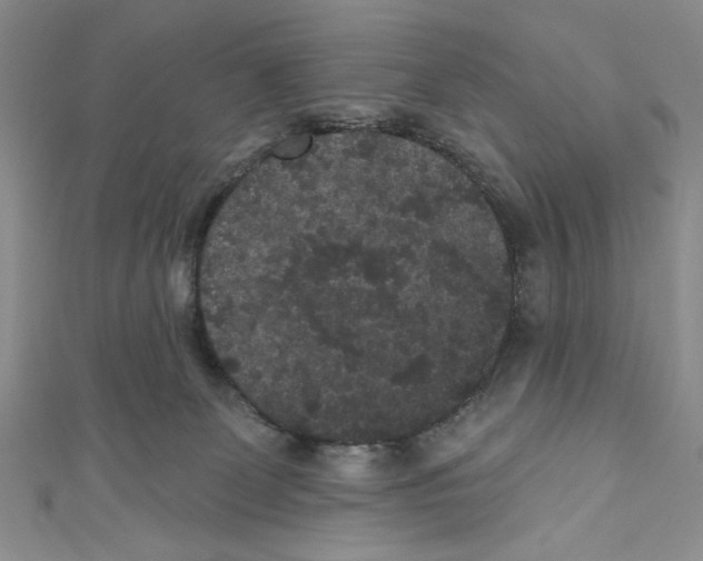 X0000110960131200907171657