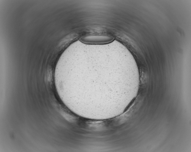 X0000110960132200907171657