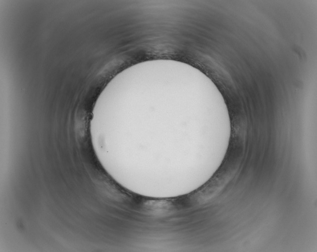 X0000110960133200907171657