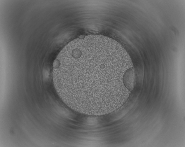 X0000110960134200907171657