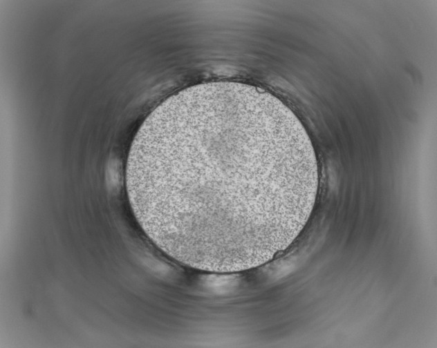 X0000110960135200907171657