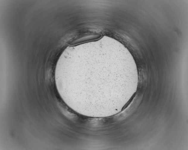 X0000110960136200907171657