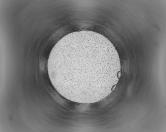 X0000110960138200907171657