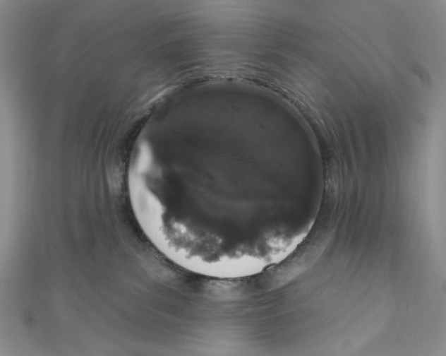 X0000110960139200907171657