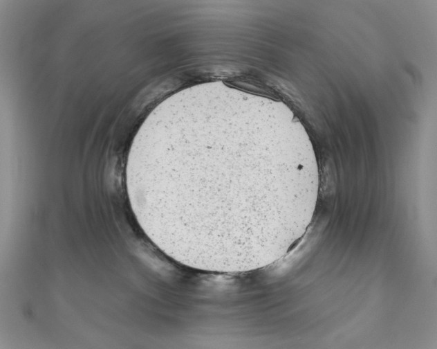 X0000110960140200907171657
