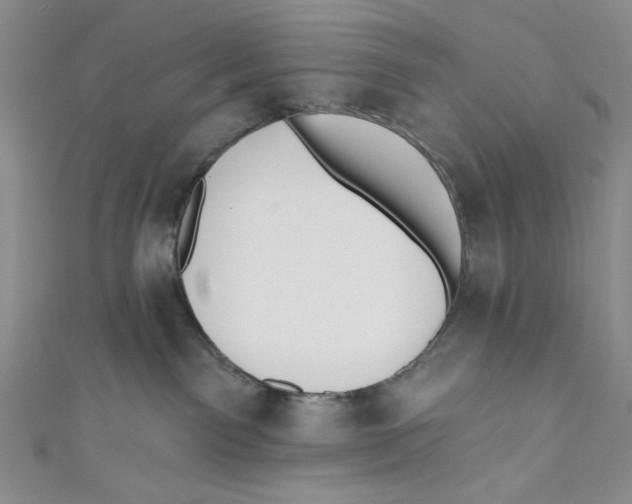 X0000110960141200907171657