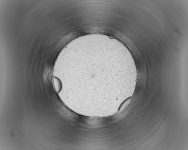 X0000110960142200907171657