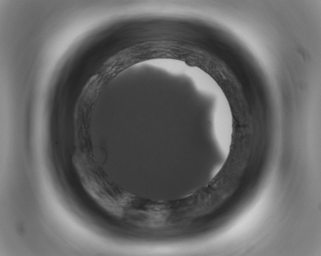 X0000110960143200907171657