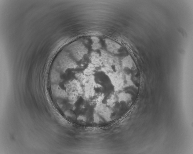 X0000110960145200907171656