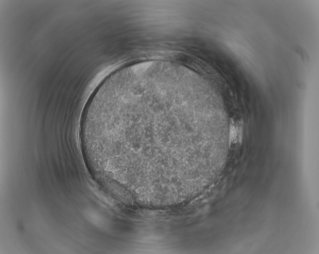 X0000110960147200907171656