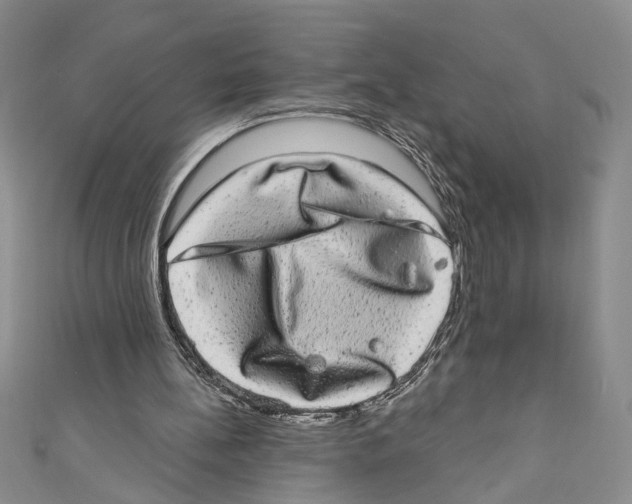X0000110960148200907171656