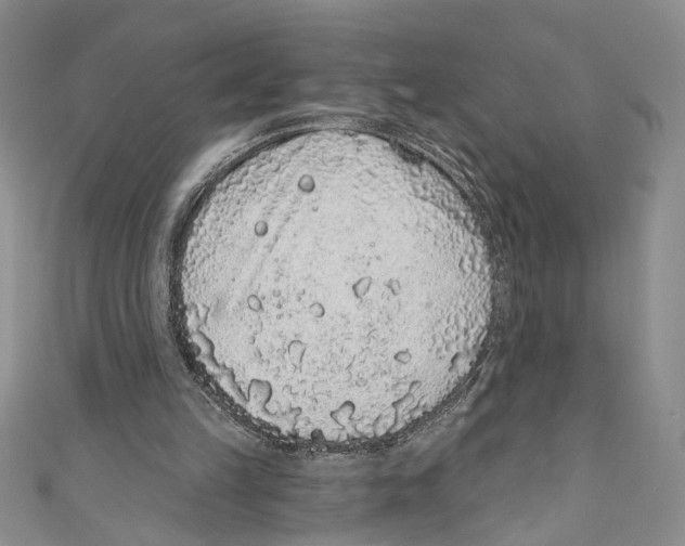 X0000110960149200907171656