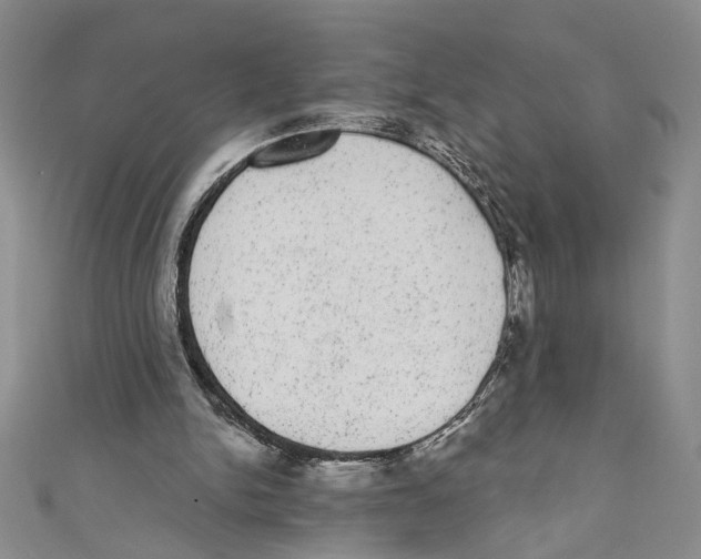 X0000110960150200907171656