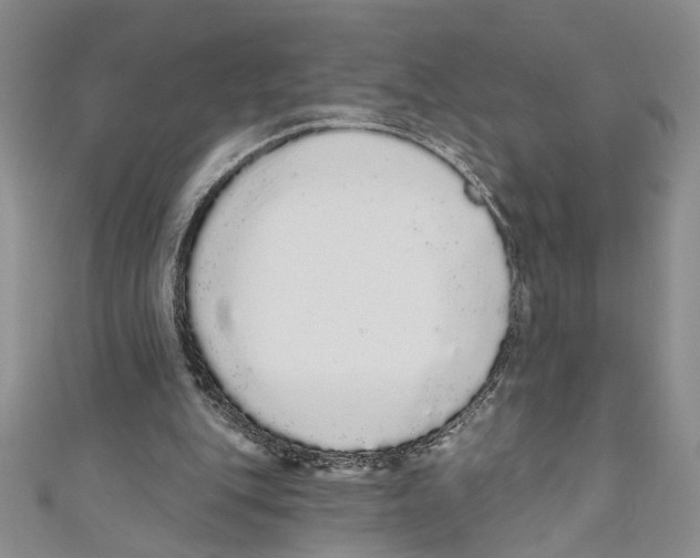 X0000110960151200907171656