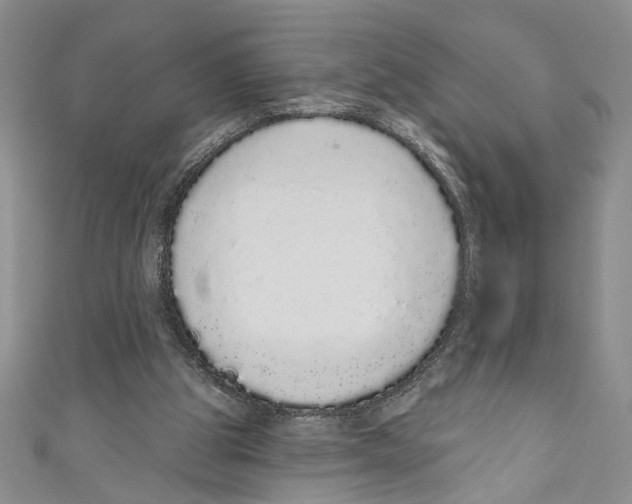 X0000110960153200907171656