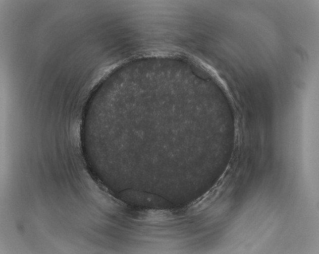 X0000110960154200907171656