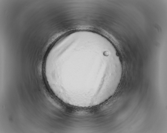 X0000110960155200907171656