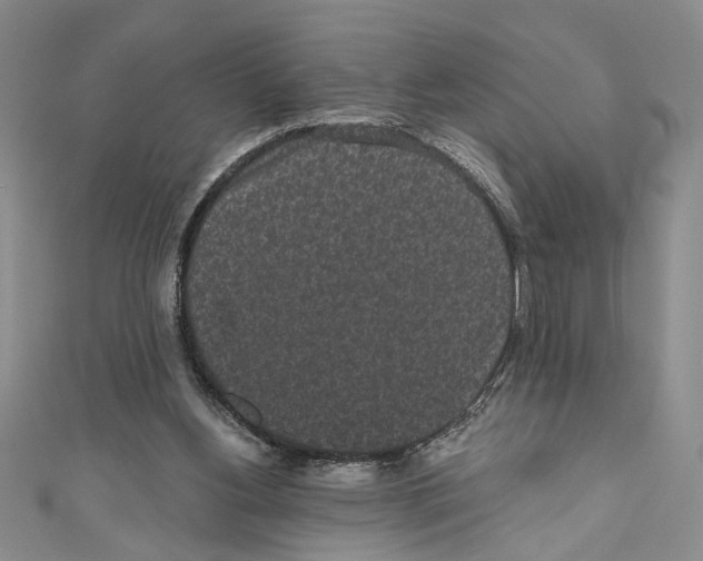X0000110960156200907171656