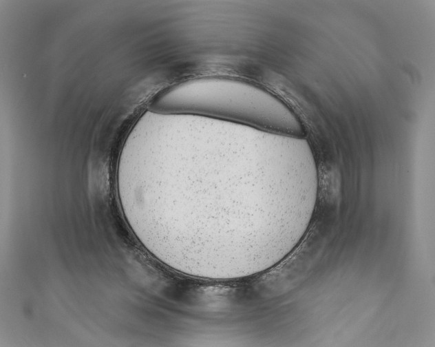 X0000110960158200907171657