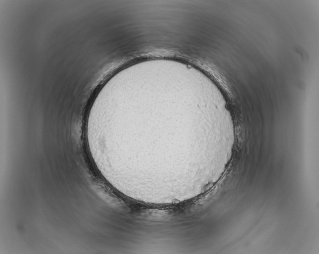 X0000110960159200907171657