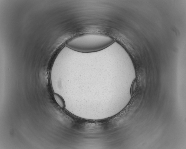 X0000110960160200907171657