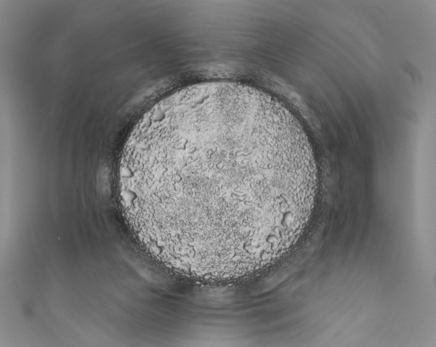 X0000110960161200907171657