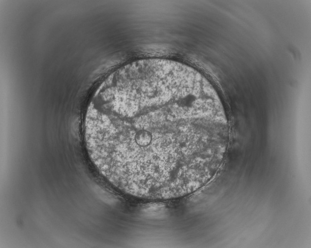 X0000110960162200907171657