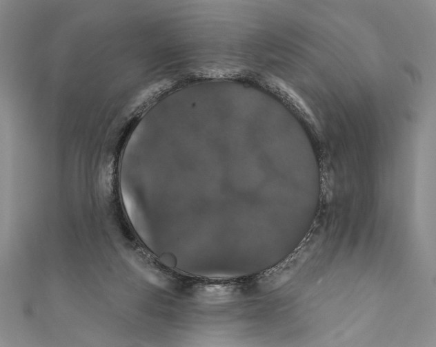X0000110960163200907171657
