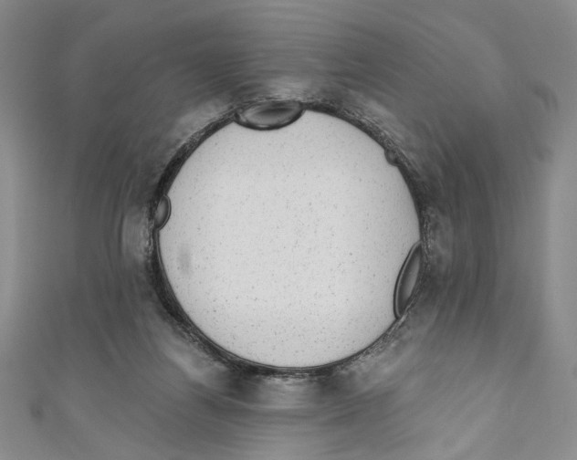 X0000110960164200907171657