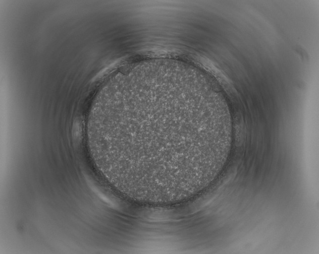X0000110960165200907171657