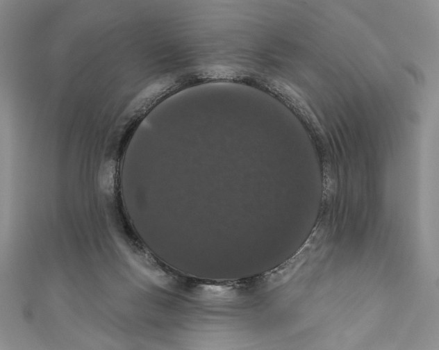 X0000110960167200907171657