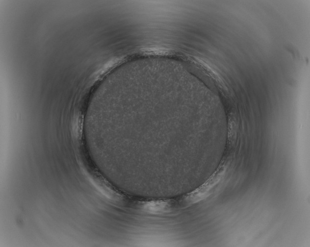 X0000110960168200907171657
