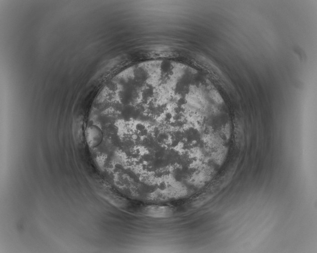 X0000110960169200907171657