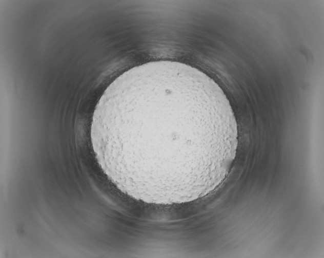 X0000110960171200907171657