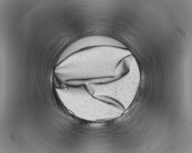 X0000110960172200907171657