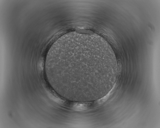 X0000110960174200907171657
