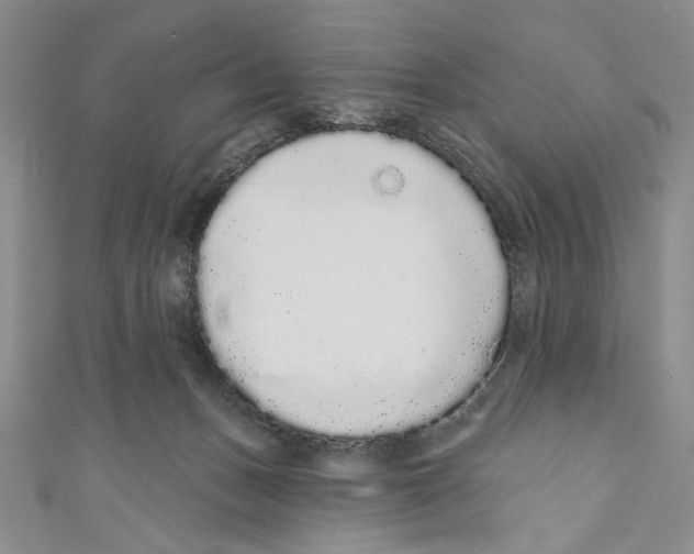 X0000110960175200907171657