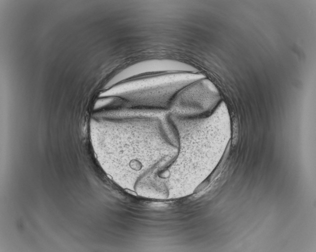 X0000110960176200907171657
