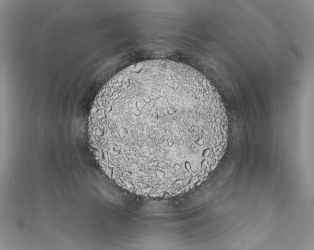 X0000110960177200907171657