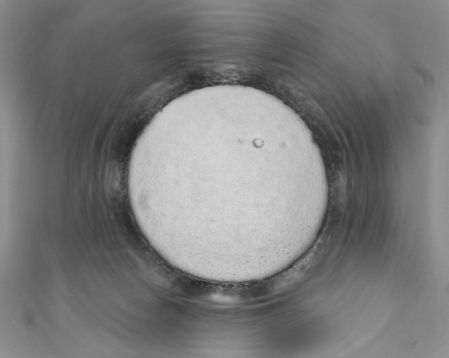 X0000110960178200907171657