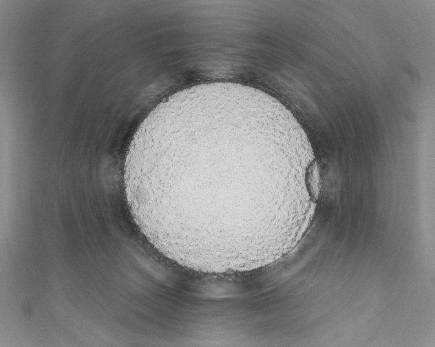 X0000110960179200907171657